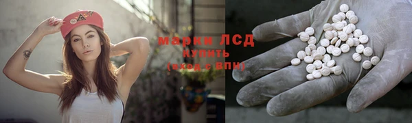 PSILOCYBIN Покачи