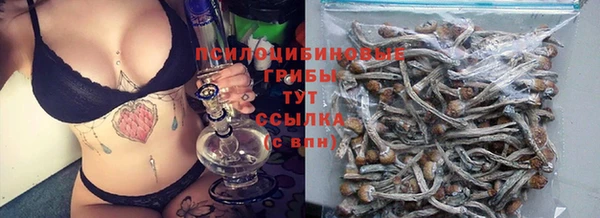 PSILOCYBIN Покачи